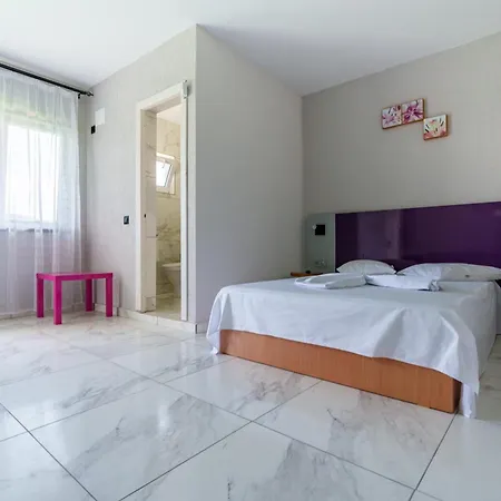 Guest house Deea Marii Costinesti Schitu